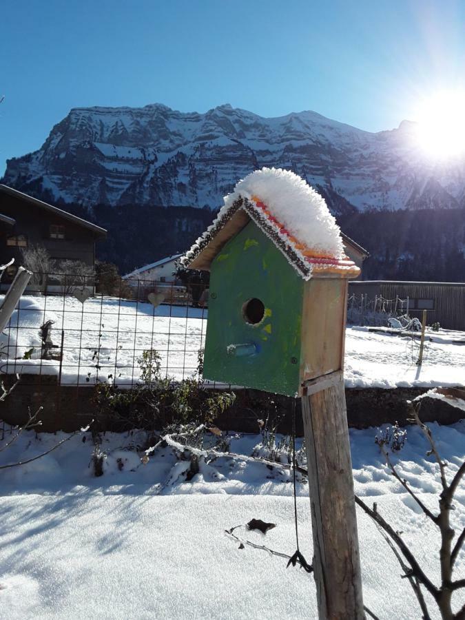 Hirschberg Appartement Bizau