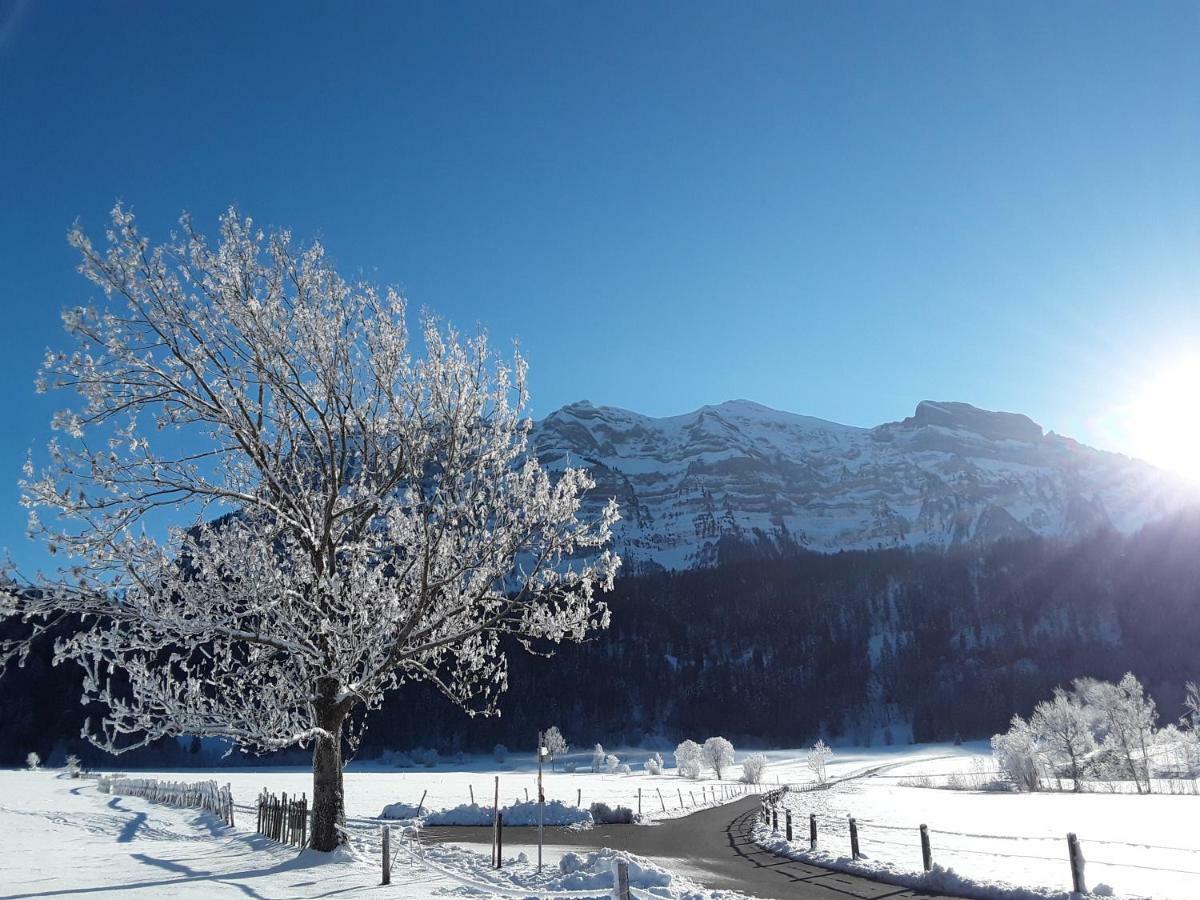 Appartement Hirschberg